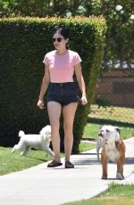 LUCY HALE Out with her Dog in Studio City 06/27/2020