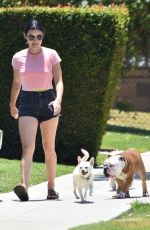 LUCY HALE Out with her Dog in Studio City 06/27/2020