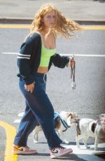 MAISIE SMITH Out with Her Dogs in Essex 06/01/2020