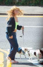 MAISIE SMITH Out with Her Dogs in Essex 06/01/2020