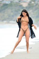 MICHELLE HAYDEN in Bikini on the Beach in Malibu 06/21/2020