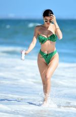 NICOLE WILLIAMS in Bikini at a Beach in Malibu 06/15/2020