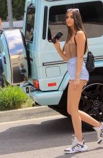 NICOLETTE GRAY Out Shopping in West Hollywood 06/17/2020