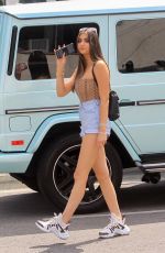 NICOLETTE GRAY Out Shopping in West Hollywood 06/17/2020