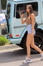 NICOLETTE GRAY Out Shopping in West Hollywood 06/17/2020