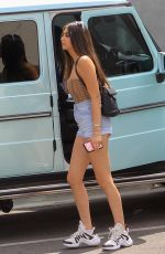 NICOLETTE GRAY Out Shopping in West Hollywood 06/17/2020