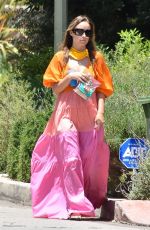 OLIVIA WILDE Out and About in Los Angeles 05/31/2020