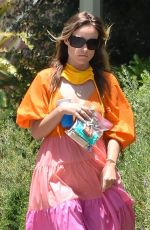 OLIVIA WILDE Out and About in Los Angeles 05/31/2020