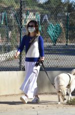 OLIVIA WILDE Out with Her Dog in Los Angeles 06/07/2020