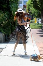 pPHOEBE PRICE Out with Her Dog in Los Angeles 06/16/2020
