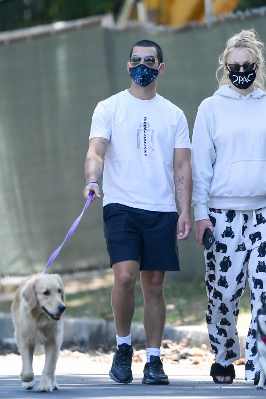 Pregnant SOPHIE TURNER and Joe Jonas Out with Their Dogs in Los Angeles 06/22/2020