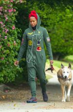 REGINA KING Out with Her Dog in Los Angeles 06/05/2020