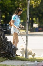 SARA SAMPAIO Out with Her Dogs in Los Angeles 06/04/2020