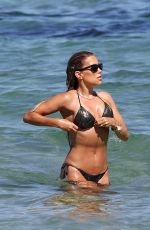 SYLVIE MEIS in Bikini at a Beach 06/22/2020