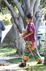 VANESSA HUDGENS Gets Takeout in Los Angeles 06/22/2020