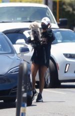 VANESSA HUDGENS Out with Her Dog in Los Angeles 06/26/2020