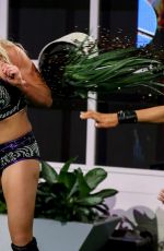 WWE - NXT Takeover: In Your House
