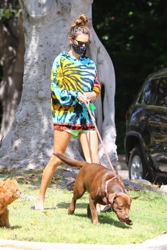 ALESSANDRA AMBROSIO in a Colorful Tie-dye Sweater Out with Her Dogs in Brentwood 07/14/2020