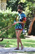 ALESSANDRA AMBROSIO in a Colorful Tie-dye Sweater Out with Her Dogs in Brentwood 07/14/2020