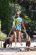ALESSANDRA AMBROSIO in a Colorful Tie-dye Sweater Out with Her Dogs in Brentwood 07/14/2020