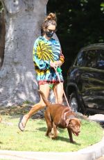 ALESSANDRA AMBROSIO in a Colorful Tie-dye Sweater Out with Her Dogs in Brentwood 07/14/2020