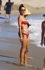 ALESSANDRA AMBROSIO in a Red Bikini at a Beach in Malibu 07/11/2020