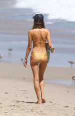ALESSANDRA AMBROSIO in Bikini on the Beach in Malibu 07/21/2020