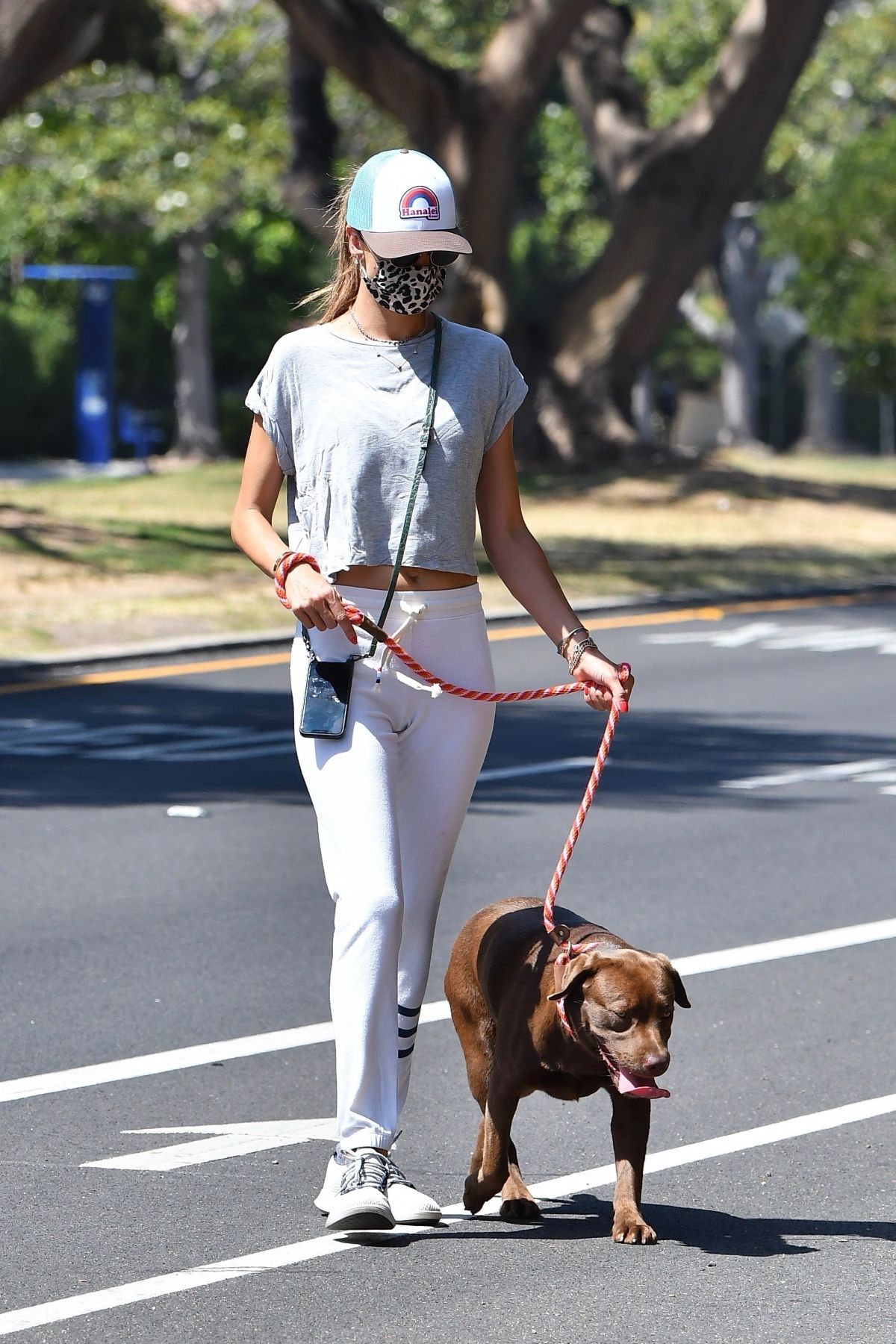 ALESSANDRA AMBROSIO Out with Her Dog in Santa Monica 07/07/2020 ...