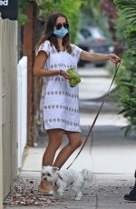 ANA DE ARMAS Out with Her brother Javier in Venice Beach 07/23/2020