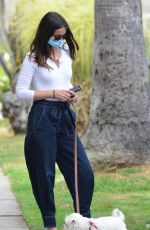 ANA DE ARMAS Out with Her Dog in Venice Beach 07/22/2020