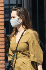 ANGELINA JOLIE at Shopping Soap Plant + Wacko in Los Angeles 07/03/2020