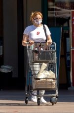 ARIEL WINTER Picking Up Her Dogs from Veterinarian and Out Shopping in Los Angeles 06/30/2020