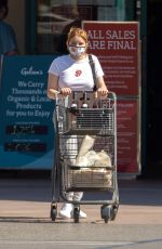 ARIEL WINTER Picking Up Her Dogs from Veterinarian and Out Shopping in Los Angeles 06/30/2020