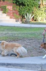 AUBREY PLAZA Out with Her Dogs in Los Angeles 07/13/2020