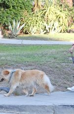 AUBREY PLAZA Out with Her Dogs in Los Angeles 07/13/2020