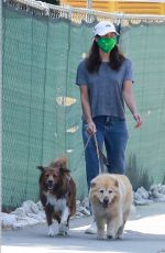 AUBREY PLAZA Waks Her Dogs Out in Los Feliz 07/25/2020