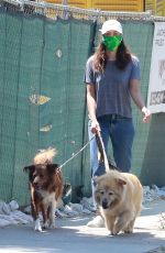 AUBREY PLAZA Waks Her Dogs Out in Los Feliz 07/25/2020