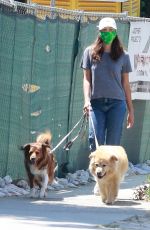 AUBREY PLAZA Waks Her Dogs Out in Los Feliz 07/25/2020