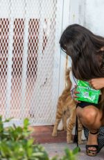 CLAUDIA ROMANI Feeds Homeless Cats in Miami 07/15/2020