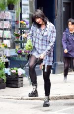 DAISY LOWE Out with Her Dog in Primrose Hill 07/09/2020