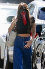 DAKOTA JOHNSON Wearing Bandana Mask Out in Studio City 07/06/2020