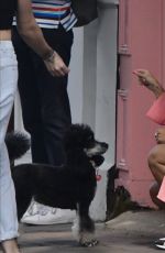 DANI DYER at a Photoshoot in Notting Hill 07/11/2020