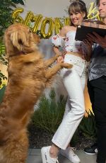 DEBBY RYAN and Josh Dun Celebrated 6 Months of Marriage - Imstagram Photos 07/06/2020