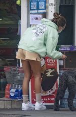 DELILAH HAMLIN and Eyal Booker Out with Their Dog in London 06/29/2020