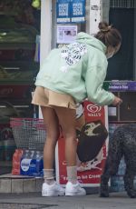 DELILAH HAMLIN and Eyal Booker Out with Their Dog in London 06/29/2020
