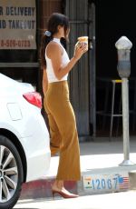 EIZA GONZALEZ Out for Iced Coffee in Los Angeles 07/24/2020