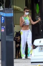 EMILY RATAJKOWSKI and Sebastian Bear McClard Out with Their Dog in New York 07/09/2020