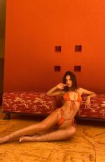 EMILY RATAJKOWSKI - Inamorata Swimwear, July/August 2020