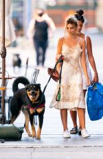 EMILY RATAJKOWSKI Out with Her Dog Colombo in New York 07/14/2020