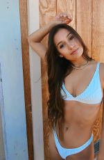 ERICA KLAIN in Bikini - Instagram Photos 07/30/2020